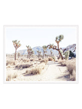 Load image into Gallery viewer, Joshua Tree Path