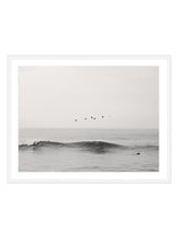 Load image into Gallery viewer, Ventura