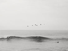 Load image into Gallery viewer, Ventura