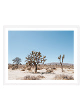 Load image into Gallery viewer, Joshua Tree #2