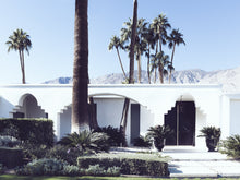 Load image into Gallery viewer, Mid Century Modern