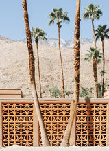 Load image into Gallery viewer, Twin Palms Drive