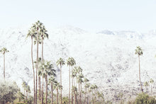 Load image into Gallery viewer, Palm Avenue