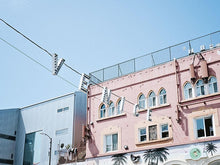 Load image into Gallery viewer, Venice Beach