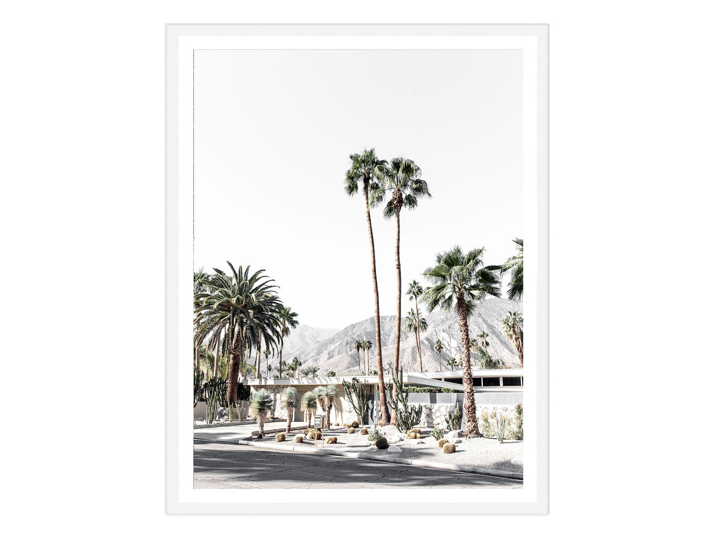 Palm Springs Green -Portrait