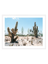 Load image into Gallery viewer, Cactus Field
