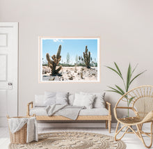 Load image into Gallery viewer, Cactus Field
