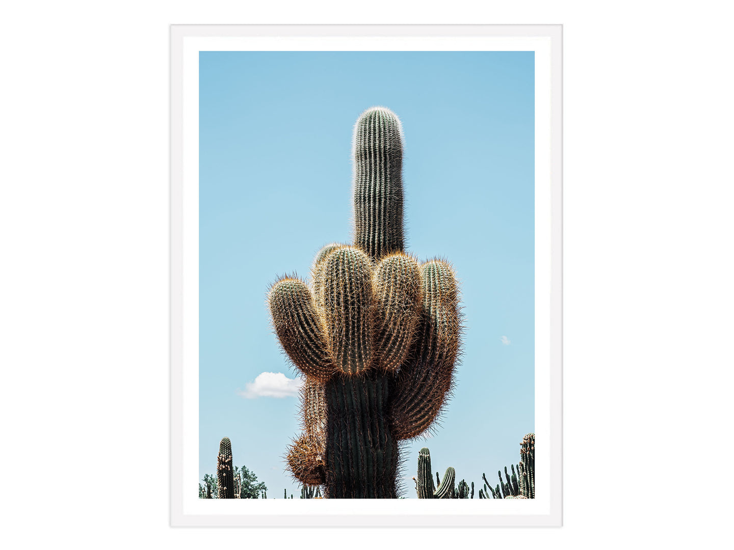 Cactus Finger
