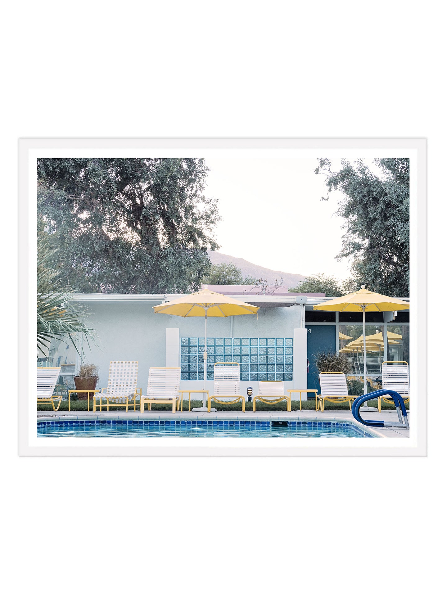 Mid Century Pool